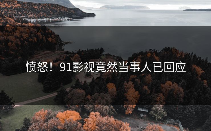 愤怒！91影视竟然当事人已回应