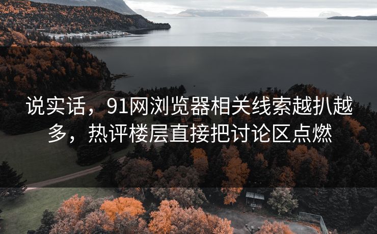 说实话，91网浏览器相关线索越扒越多，热评楼层直接把讨论区点燃